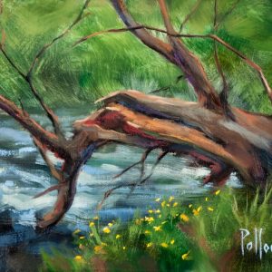 sarah-pollock-spring-creek